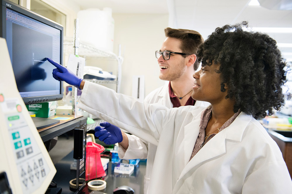 Two students in a biological sciences laboratory look at a computer monitor.