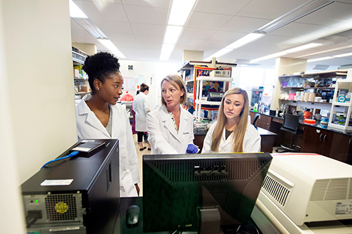 Assistant Professor of Biological Sciences Heather Jordan, center, works in her Harned Hall lab with Mississippi State biological sciences/pre-dental senior Alanna Bond of Cordova, Tennessee, left, and biological sciences graduate student Casey Raborn of Hudsonville, Michigan, right. Undergraduate and graduate students are engaged in a wide range of research opportunities at MSU, which has been recognized in the latest update of the Carnegie Classification of Institutions of Higher Education as a very high research activity doctoral university. (Photo by Megan Bean)