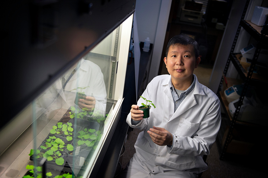 Portrait of Ying Wang in his lab