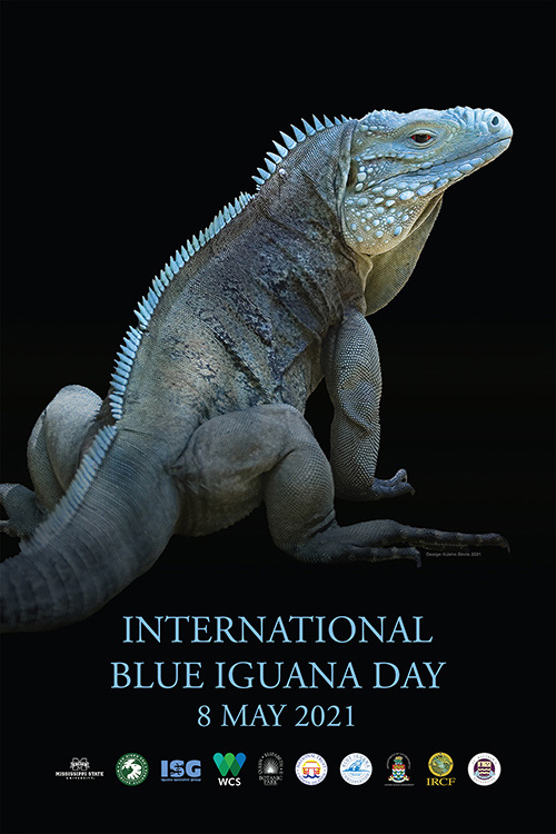 Blue Iguana Day