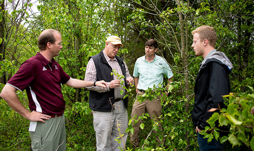 From a research standpoint, John Byrd focuses on weed management in forages, rights-of-ways and exotic invasive plants in natural areas. Here, Byrd, second from left, is pictured with members of his research team including, left to right, Gray Turnage, GRI research associate and current doctoral student; David Russell, extension associate III and formal doctoral student; and Hayden Quick, a master’s student. Byrd is examining the leaves of Callery pear, an exotic invasive plant found in Mississippi. Victor Maddox, senior research associate with the team, is not pictured. (Photo by David Ammon)