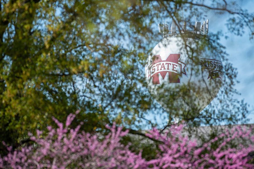 An MSU water tower pictured on a sunny day.