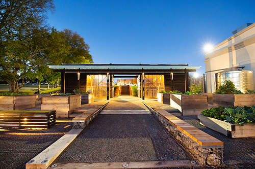 MSU Community Garden beds - dusk to sunset