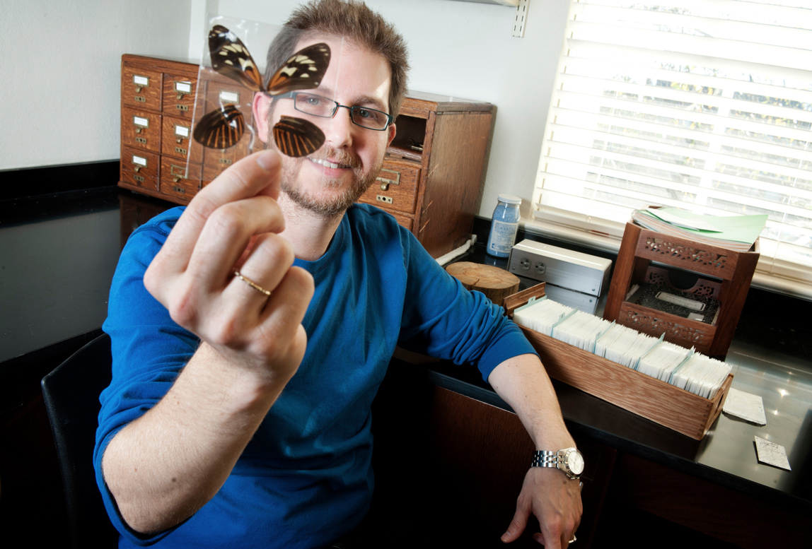 Brian Counterman, MSU associate professor of biological sciences, is leading a collaborative research team examining genotype-phenotype relationships using color patterns of the Heliconius butterfly. (Photo by Megan Bean)