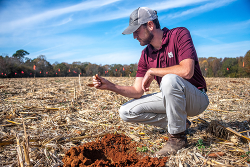 Nolan Mullican, a plant and soil sciences master’s student, examines soil quality at the MAFES Pontotoc Ridge-Flatwoods Branch Experiment Station.