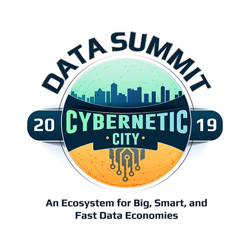 Data Summit logo