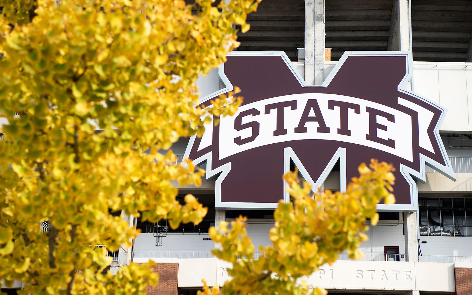 MSU logo on Davis Wade Stadium