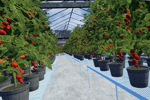 A screenshot image shows plants being grown in a virtual reality setting. 