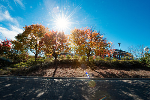 For the third consecutive year, Mississippi State University’s beautiful campus is being nationally recognized as part of the Maryland-based Professional Grounds Management Society’s 2017 Green Star Awards competition. MSU was one of four Honor Award recipients in the University and College Grounds (Mid-Size) category for exceptional grounds maintenance. (Photo by Megan Bean)