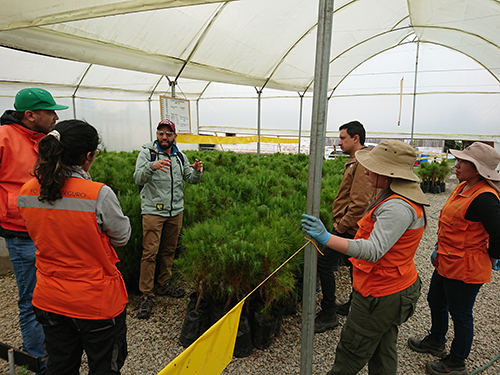 Estaban Galeano talks with tree growers in Colombia