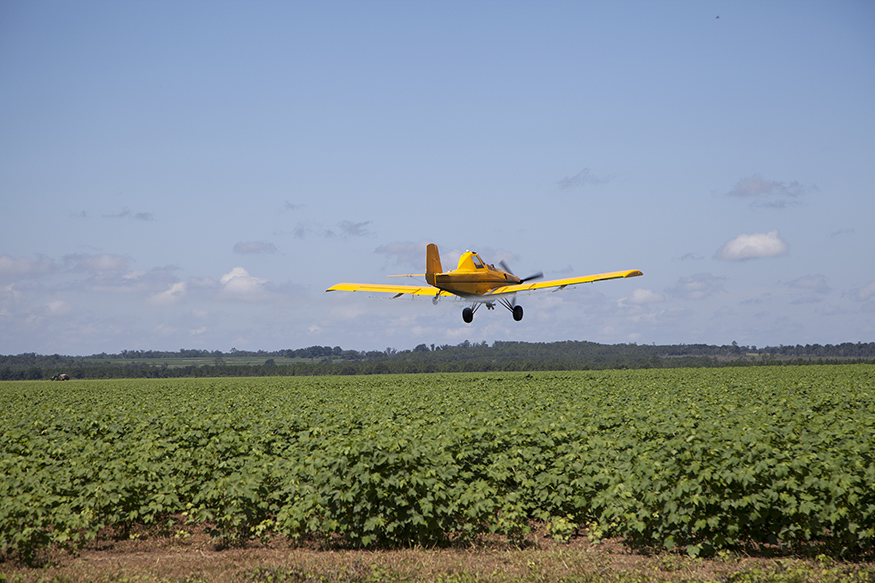 A plane flies over an agricultural field. 