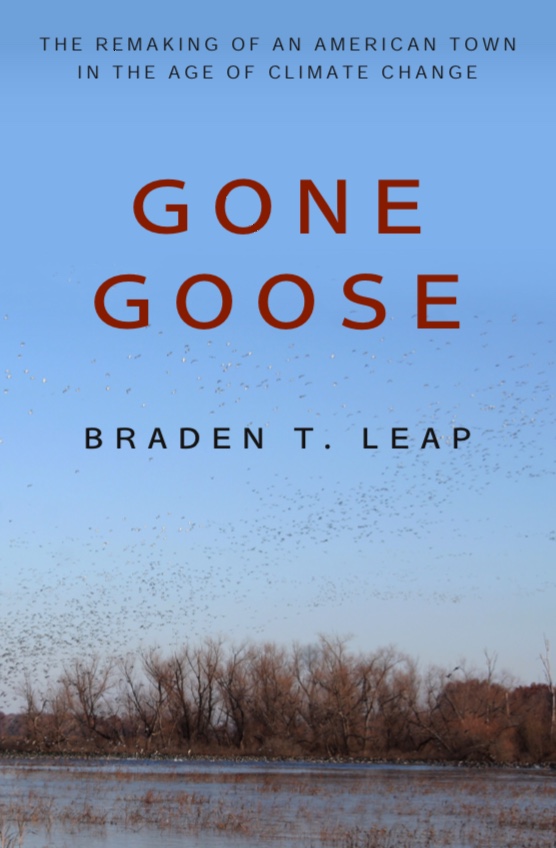 Gone Goose by Braden Leap book cover