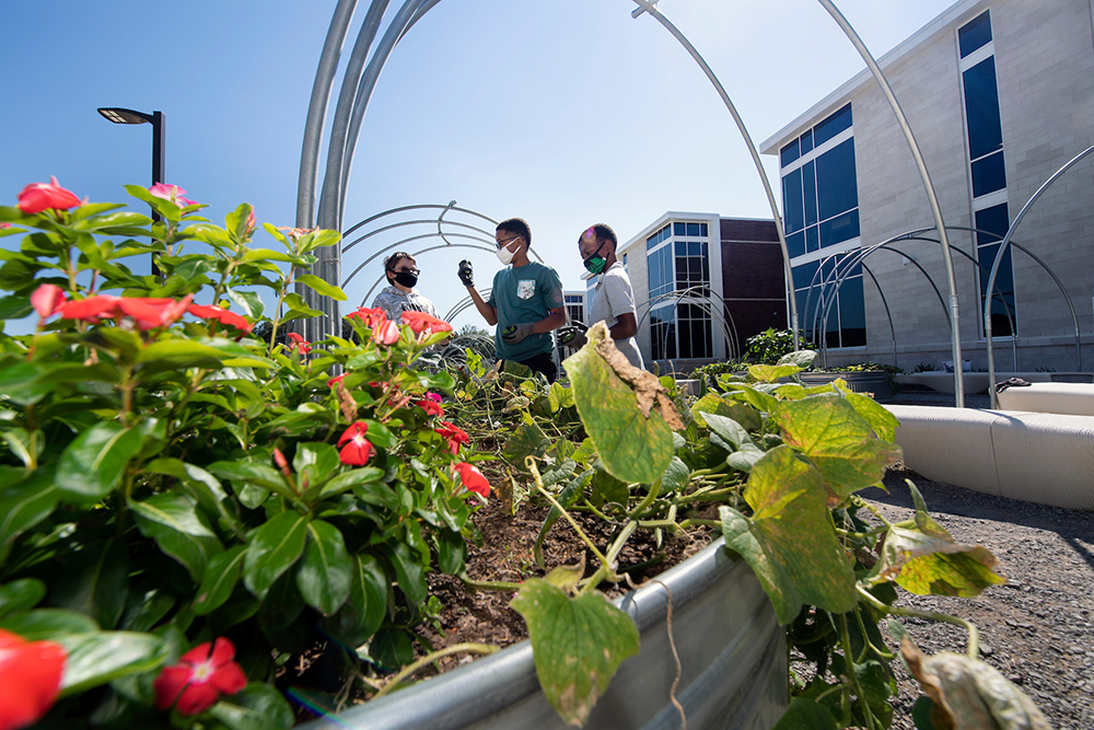 Partnership GRoW classroom