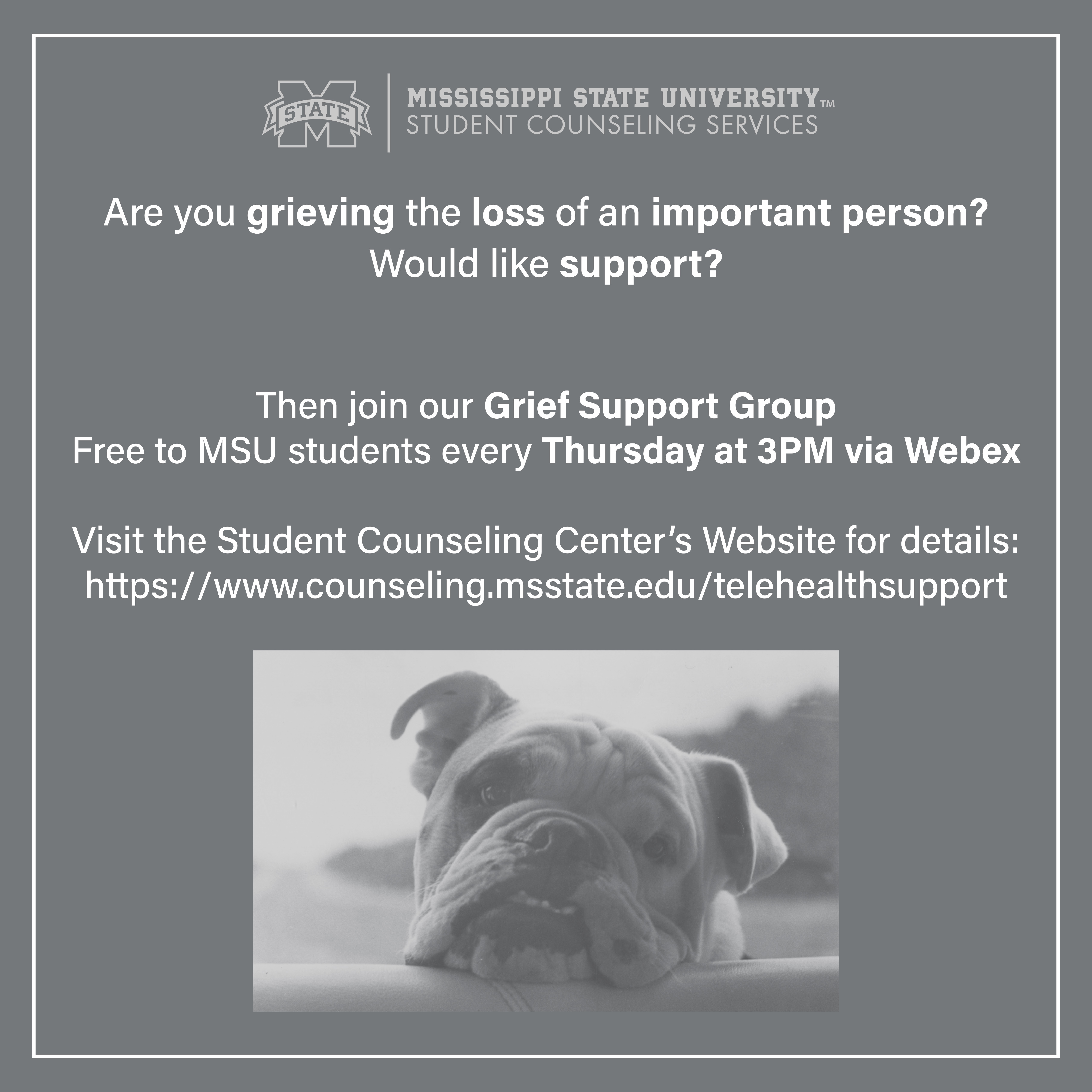 Student Counseling Services is offering a virtual grief support group every Thursday from 3-4PM. Join us by following the link below.