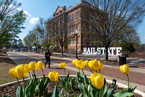 A man walks near flowers blooming on Hail State Plaza at MSU.