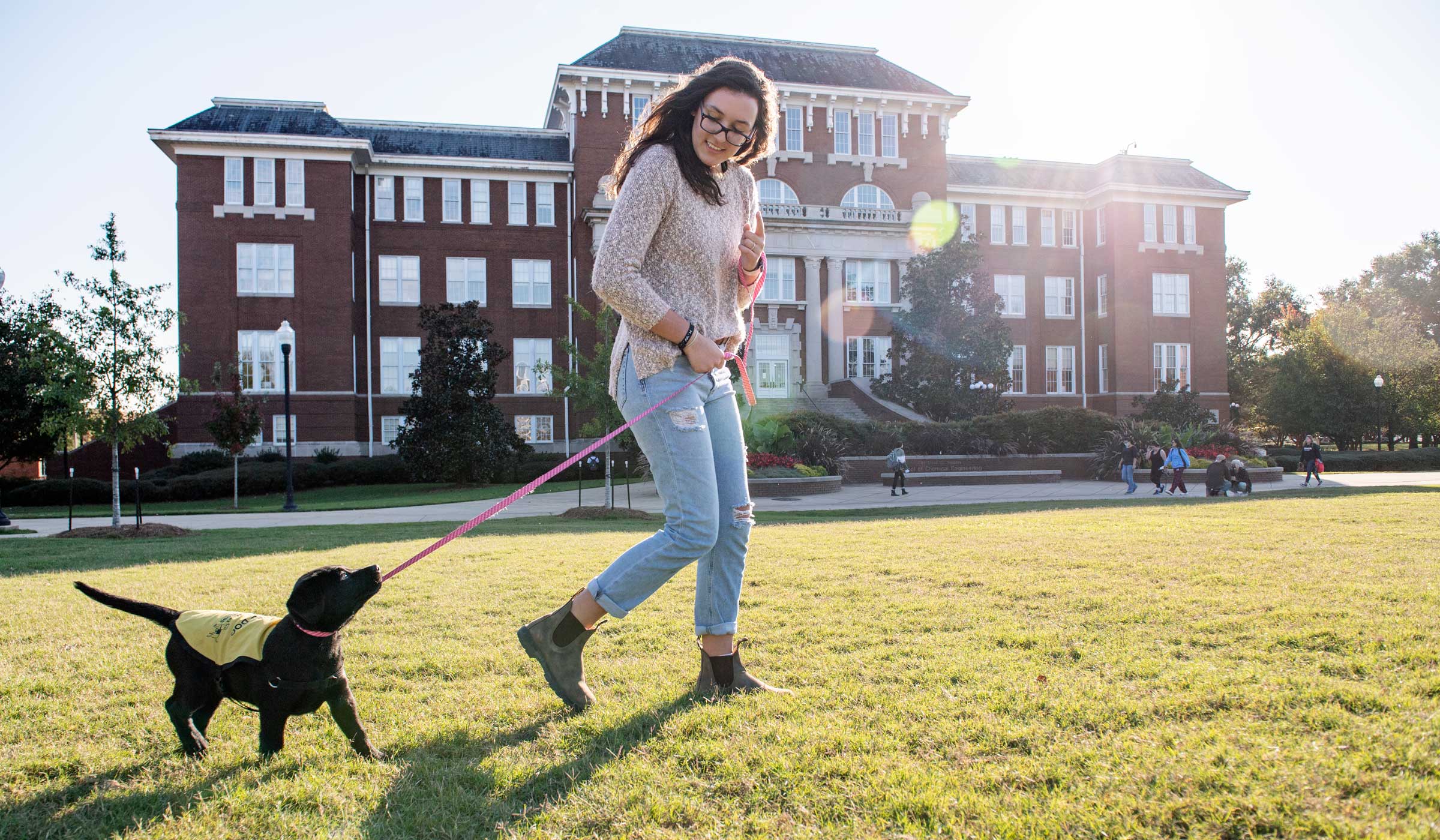 Maya Harlow walks a service dog on the MSU Drill Field