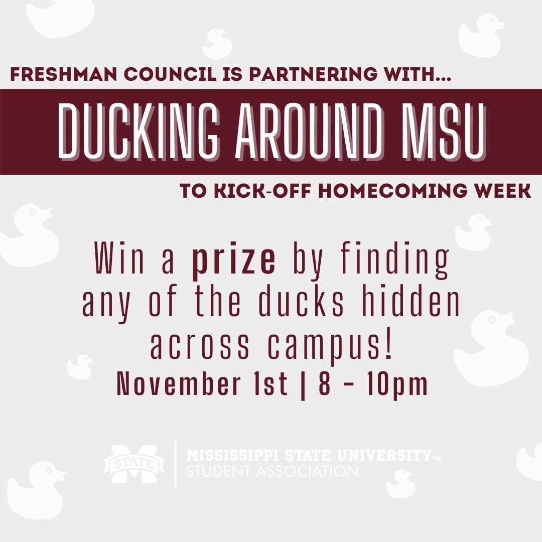 Maroon and gray graphic with images of white ducks promoting the MSU Student Association's "Ducking Around MSU" event