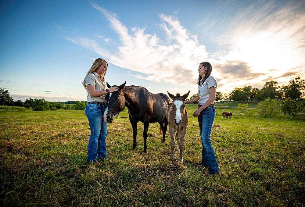 Two women work with a foal and mare at the Mississippi Agricultural and Forestry Experiment Station’s Equine Unit