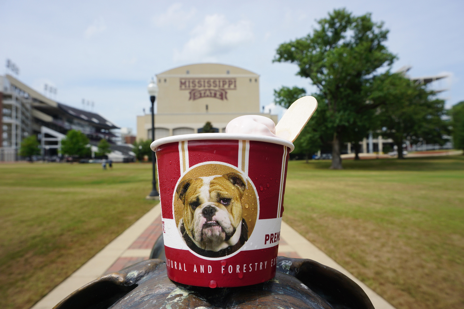 The MAFES Sales Store at MSU will give away free, single-scoop ice cream cones Friday, July 14, to celebrate National Ice Cream Month. (Photo by Chase Neal)