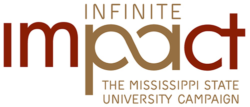 Infinite Impact campaign logo