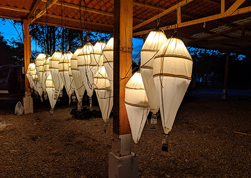 Image of large lights hanging from wooden beams