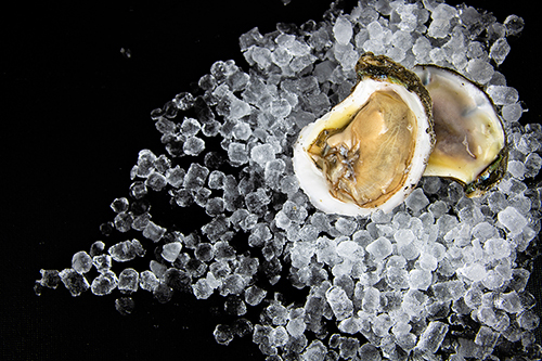 Two open oysters on crushed ice resting on a black background