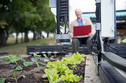 One of two autonomous farming robots, or “Farmbots,” operated by MSU’s Students for Sustainable Campus organization, maintains a 5’ by 10’ bed at MSU’s Community Garden. (Photo by Megan Bean)