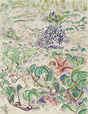 Image Credit: Walter Inglis Anderson (1903-65), Magenta Convolvulus, not dated. watercolor on paper. Collection of the Mississippi Museum of Art, Jackson. Mississippi Art Association purchase, 1967.036.