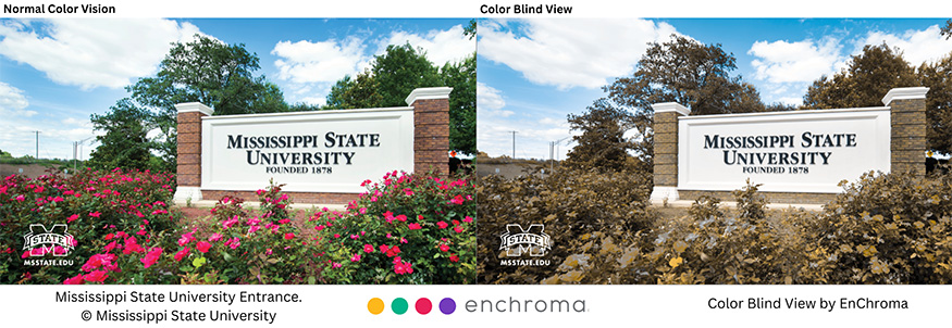 side-by-side color and color blind view of a Mississippi State University entrance sign