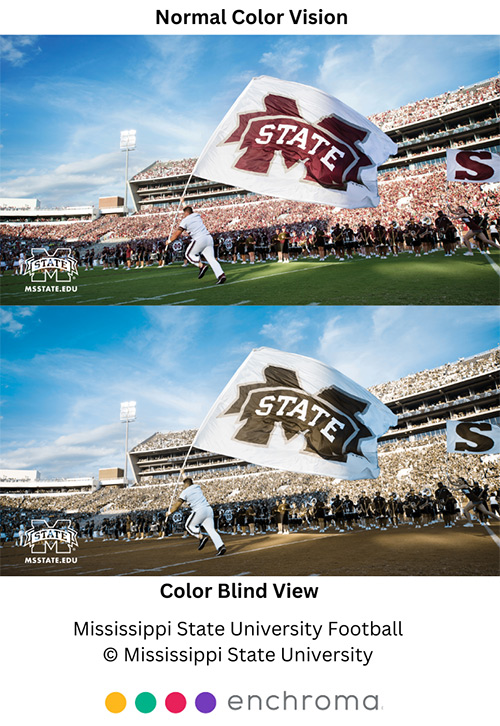 A top and bottom regular and colorblind view of a Mississippi State football game 