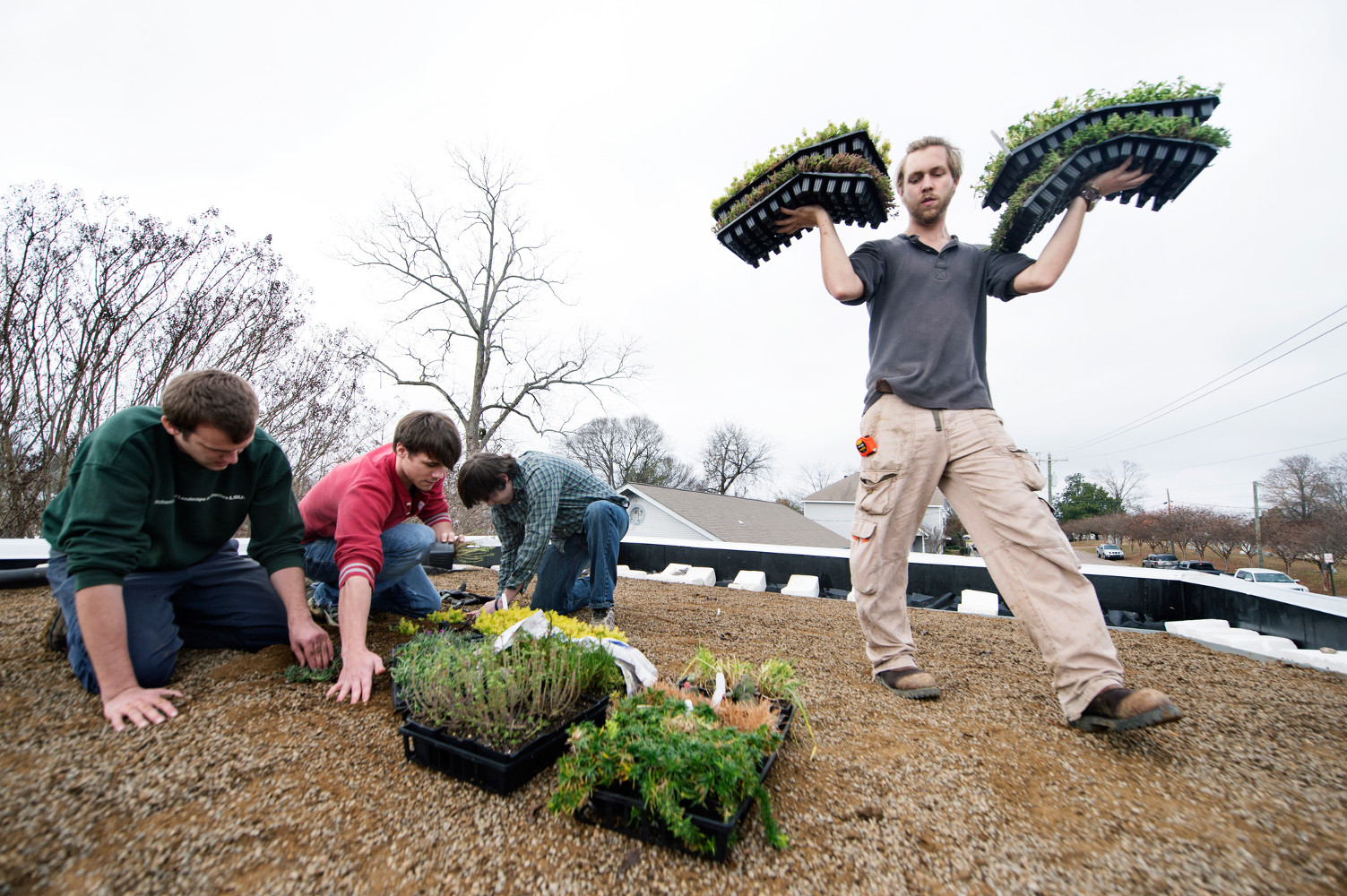 Mississippi State’s Department of Landscape Architecture is welcoming 750 students from 63 institutions of higher learning—along with industry professionals from more than 70 companies around the country—for the National Collegiate Landscape Competition Wednesday-Saturday [March 16-19] on the Starkville campus. (Photo by Megan Bean)