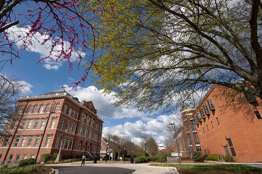 Old Main Plaza, looking North on a Spring day, with Montgomery Hall and McCool Hall on either side.