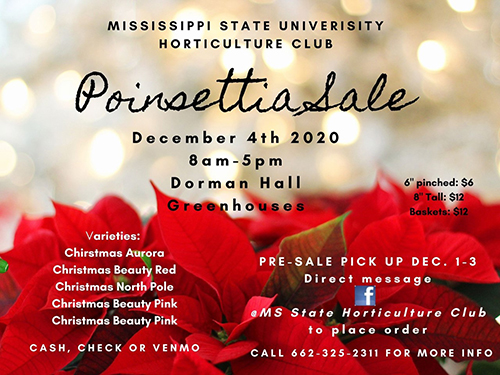 Graphic with bright red poinsettias promoting the MSU Horticulture Club's poinsettia sale