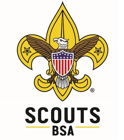 Boy Scouts BSA fleur-de-lis logo