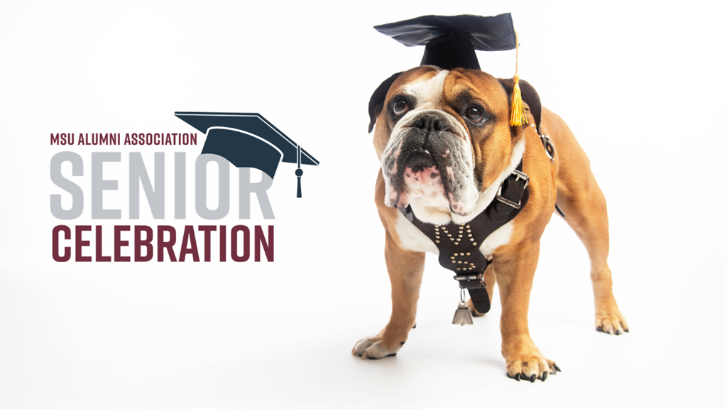 MSU Alumni Association Senior Celebration graphic with Jak the Bulldog wearing a black graduation cap