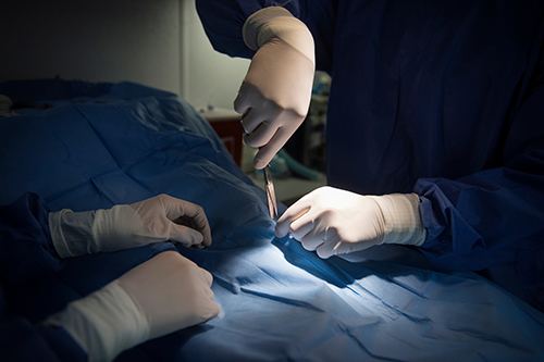 A close up photo of gloved hands preparing for surgery in the Mobile Veterinary Clinic