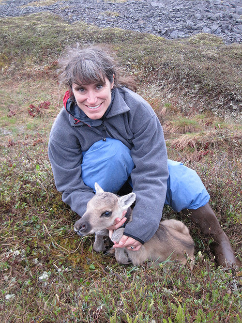 Conservation genetics pioneer Lisette P. Waits is pictured with a Newfoundland woodland caribou calf. 