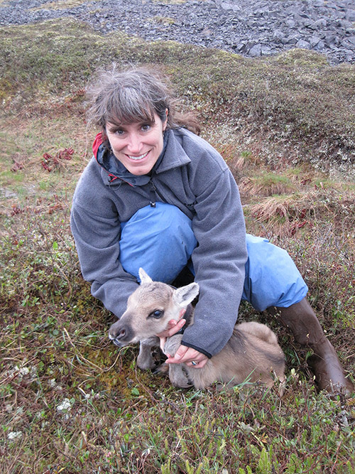 Conservation genetics pioneer Lisette P. Waits is pictured with a Newfoundland woodland caribou calf.