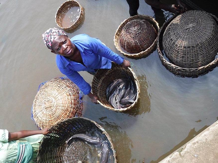 A woman with wild and aquacultured catfish, a market staple in Nigeria. (Photo by Joe Steensma)