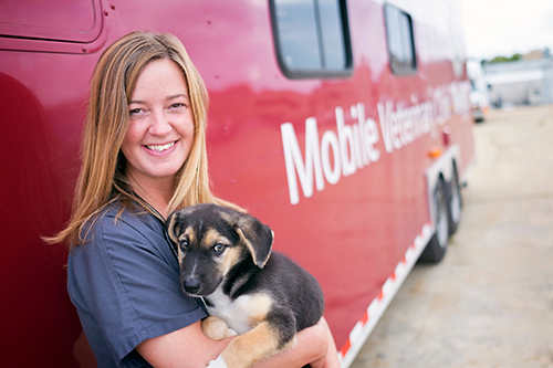 Dr. Kimberly Woodruff, assistant clinical professor in MSU’s College of Veterinary Medicine, holds a puppy beside the Mobile Veterinary Clinic. CVM will host its first animal shelter education conference April 21-22. (Photo by Megan Bean)