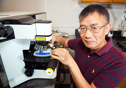 Portrait of Dongmao Zhang in his lab at MSU