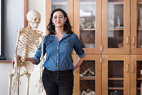 Molly K. Zuckerman pictured with a skeleton model in a classroom/lab 