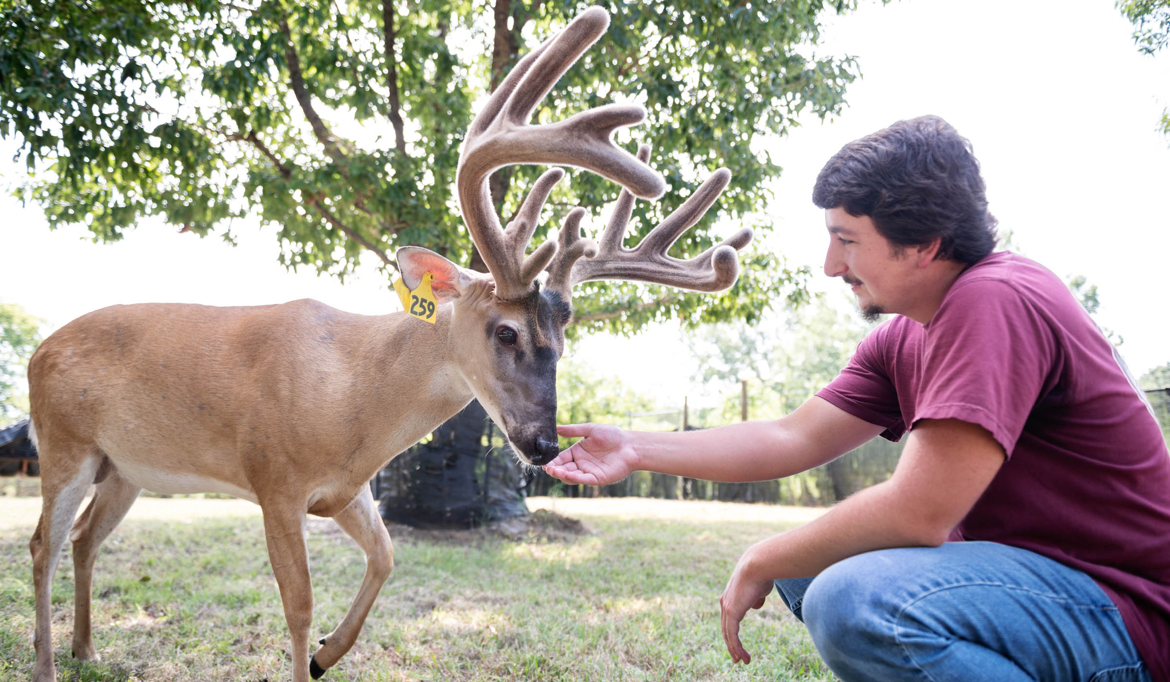 Nathan Cowley pets a deer