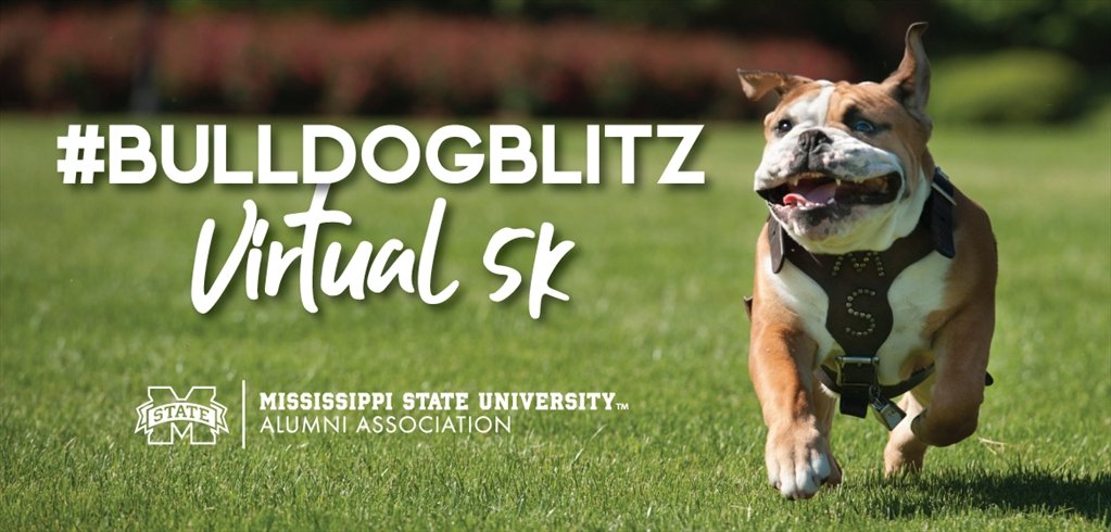A photo of a Bulldog running on grass with text about the Bulldog Blitz Virtual 5k