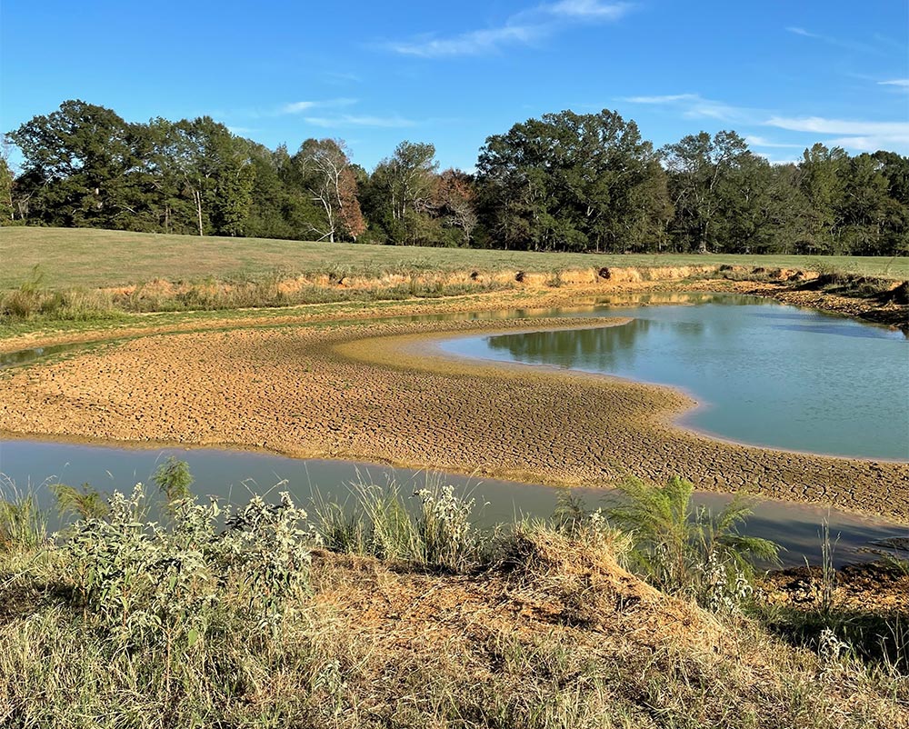 A Mississippi pond drying up during the drought