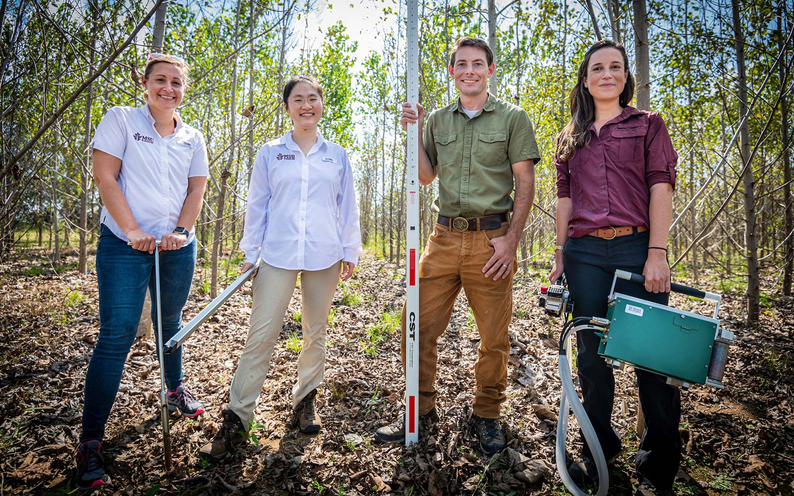 Faculty visit a hybrid poplar plantation research site in Monroe County. 