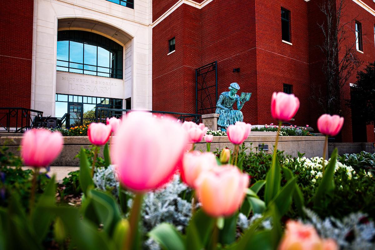 flowers in front of library