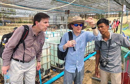 From left, Global Center for Aquatic Health and Food Security Director Mark Lawrence, GCAHFS Associate Director Stephen Reichley and a local partner in Cambodia look at a water sample.