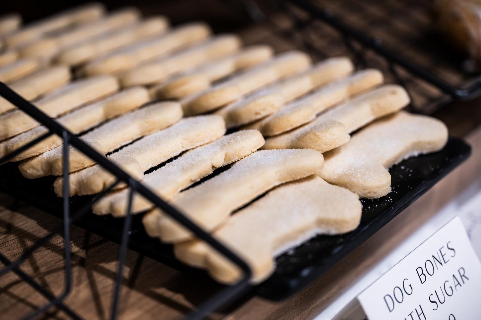 dog bone cookies