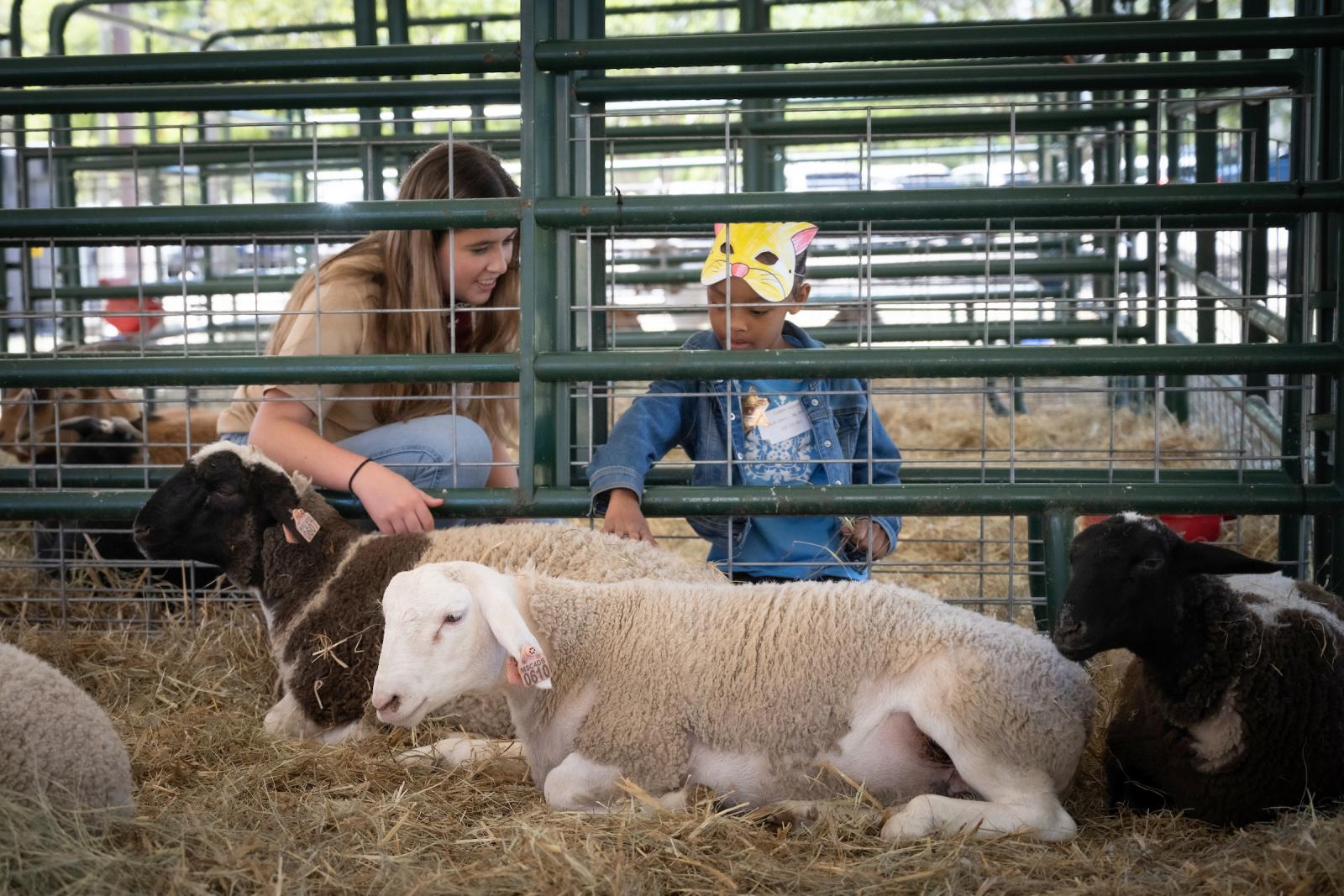 A young woman and a child pet sheep in a pen